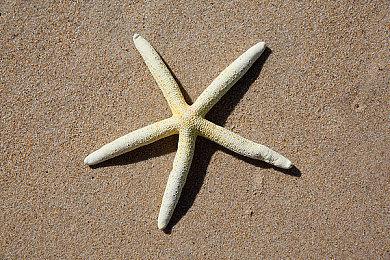 在CDPR任职11年的《赛博朋克2077》QA总监离职